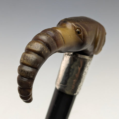 1896 British Antique Men's Cane Horn Elephant Handle 86cm